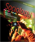 Sociology: a brief introduction