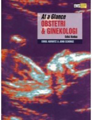 Image of At a Glance Obstetri & Ginekologi