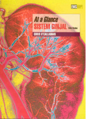 Image of at a Glance Sistem Ginjal