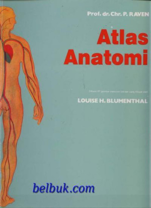 Image of Atlas Anatomi