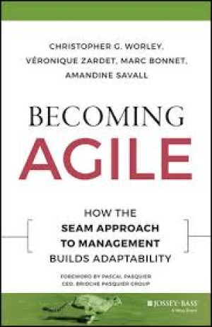 Image of Becoming Agile: How the SEAM Approach to Management Builds Adaptability