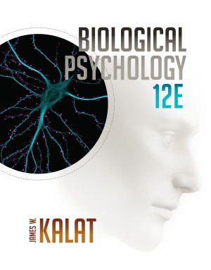 Image of Biological Psychology