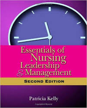 Image of Essentials of Nursing Leadership & Management 2nd Edition