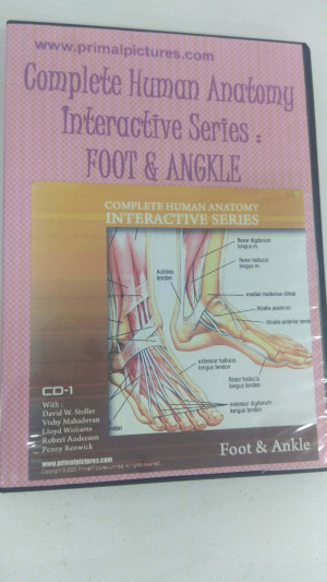Image of Complete Human Anatomy Interactive Series : Foot & Ankle