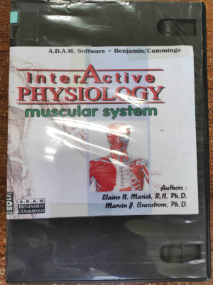 Image of Physiology: Muscular System