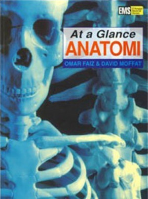 Image of At a Glance Anatomi