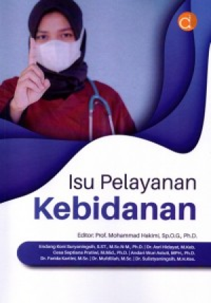 Image of Isu Pelayanan Kebidanan