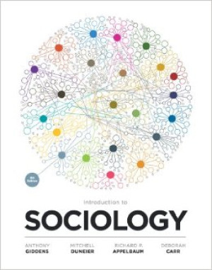 Image of Introduction to Sociology