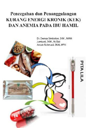 Image of Modul Edukasi Gizi Pencegahan dan Penanggulangan Kurang Energi Kronik (Kek) dan Anemia Pada Ibu Hamil