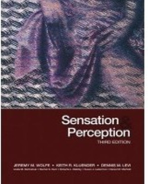Image of Sensation and Perception