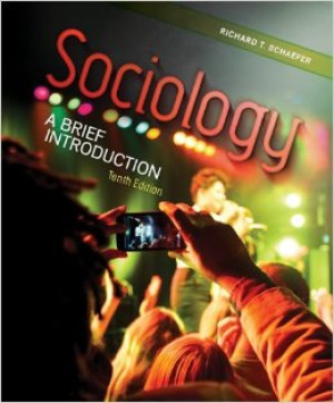 Image of Sociology: a brief introduction